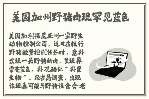 男人免费观看插曲视频